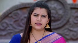 Annapoorna S01 E732 28th November 2024