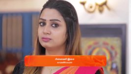 Idhayam S01 E446 13th November 2024