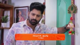 Idhayam S01 E450 15th November 2024