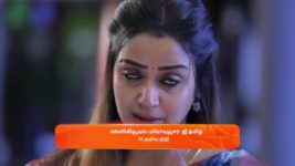 Idhayam S01 E458 20th November 2024