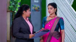 Jabilli Kosam Aakashamalle S01 E344 13th November 2024