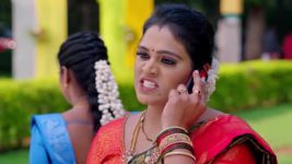 Janaki Ramayya Gari Manavaralu S01 E156 2nd November 2024