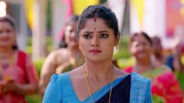 Janaki Ramayya Gari Manavaralu S01 E157 4th November 2024