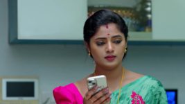 Janaki Ramayya Gari Manavaralu S01 E161 8th November 2024