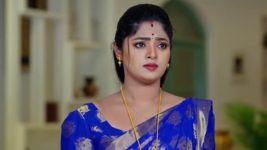 Janaki Ramayya Gari Manavaralu S01 E166 14th November 2024