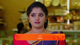 Janaki Ramayya Gari Manavaralu S01 E178 28th November 2024