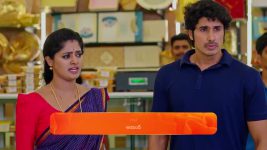 Janaki Ramayya Gari Manavaralu S01 E179 29th November 2024