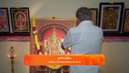 Karthigai Deepam S01 E660 11th November 2024