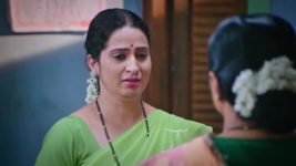 Lakshmi Nivasa S01 E377 5th November 2024