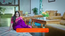 Lakshmi Nivasa S01 E380 7th November 2024