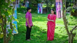 Lakshmi Nivasa S01 E385 11th November 2024