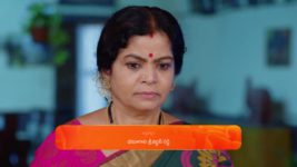 Maa Annaya (Zee Telugu) S01 E199 5th November 2024