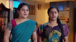 Maa Annaya (Zee Telugu) S01 E206 12th November 2024