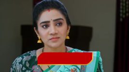 Maamagaru (Star Maa) S01 E360 Vasantha, Lakshmi Alert Their Kids