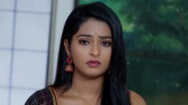 Malli Nindu Jabili S01 E802 Vasundhara Grows Suspicious