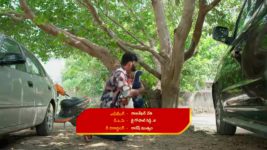 Malli Nindu Jabili S01 E808 Bhanumathi Manipulates Gowtham