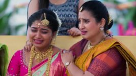 Meghasandesam (Zee Telugu) S01 E134 4th November 2024