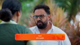 Meghasandesam (Zee Telugu) S01 E138 8th November 2024