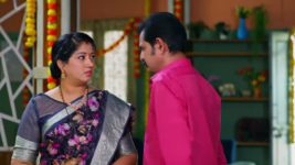 Meghasandesam (Zee Telugu) S01 E142 12th November 2024