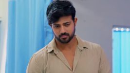 Meghasandesam (Zee Telugu) S01 E153 24th November 2024