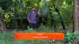 Ninaithale Inikkum S01 E1092 17th November 2024