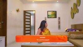 Ninaithen Vandhai (Zee Tamil) S01 E235 23rd November 2024