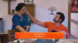 Ninaithen Vandhai (Zee Tamil) S01 E237 26th November 2024