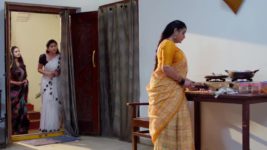 Nindu Noorella Saavasam S01 E401 13th November 2024