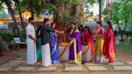 Nindu Noorella Saavasam S01 E404 16th November 2024