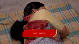 Paape Maa Jeevana Jyothi S01 E1091 Kutti Seeks Help