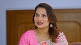 Paaru (Zee Marathi) S01 E270 22nd November 2024