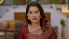 Paaru (Zee Marathi) S01 E273 25th November 2024