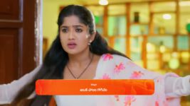 Padamati Sandhyaragam S01 E670 2nd November 2024