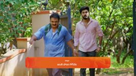 Padamati Sandhyaragam S01 E686 18th November 2024