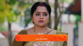 Padamati Sandhyaragam S01 E697 29th November 2024