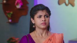 Paluke Bangaramayana S01 E385 Abhishek, Jhansi Are Stunned