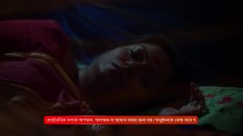 Parineeta (Zee Bangla) S01 E19 29th November 2024