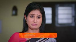 Puttakkana Makkalu S01 E803 12th November 2024