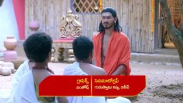 Renuka Yellamma (Star Maa) S01 E514 Renuka Reassures Jamadagni