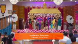 Sandhya Raagam (Tamil) S01 E359 1st November 2024