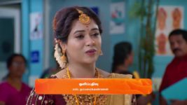 Sandhya Raagam (Tamil) S01 E366 9th November 2024