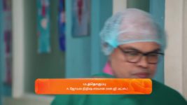 Sandhya Raagam (Tamil) S01 E369 13th November 2024