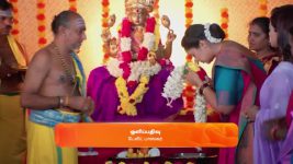 Sandhya Raagam (Tamil) S01 E387 30th November 2024