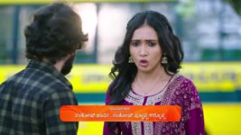 Shravani Subramanya S01 E164 1st November 2024