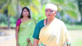 Shreegowri S01 E216 Mangalamma gives confidence to Gowri