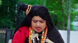 Trinayani (Kannada) S01 E1135 7th November 2024