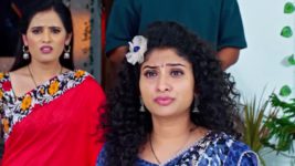 Trinayani (Kannada) S01 E1144 20th November 2024