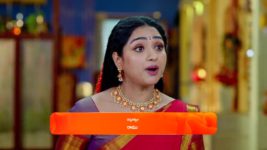 Trinayani (Telugu) S01 E1405 18th November 2024