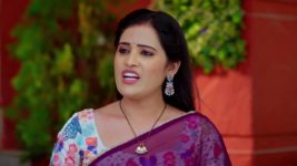 Trinayani (Telugu) S01 E1410 23rd November 2024