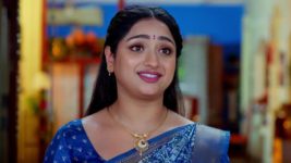 Trinayani (Telugu) S01 E1411 25th November 2024